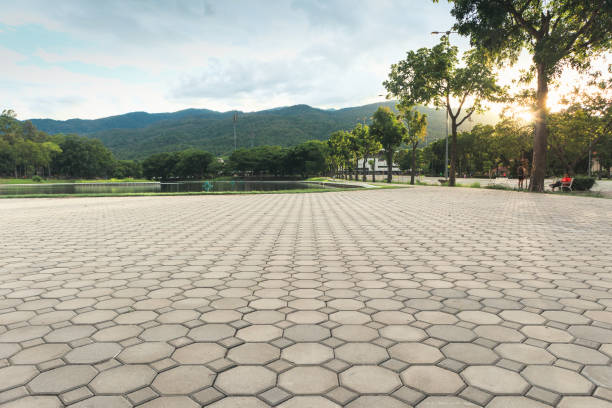 Best Commercial Driveway Pavers  in Ayden, NC