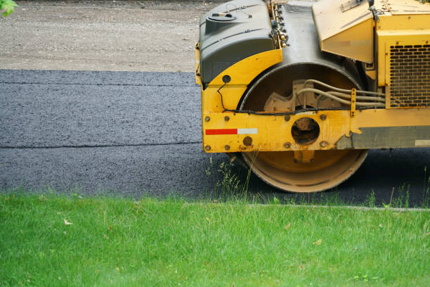 Best Custom Driveway Pavers  in Ayden, NC